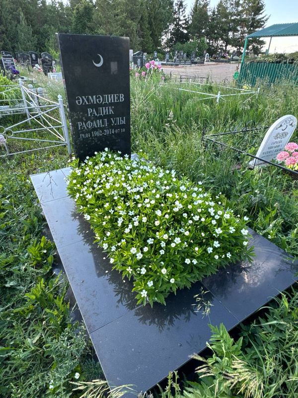 Фото надгробия: Ахмадиев Радик Рафаилович