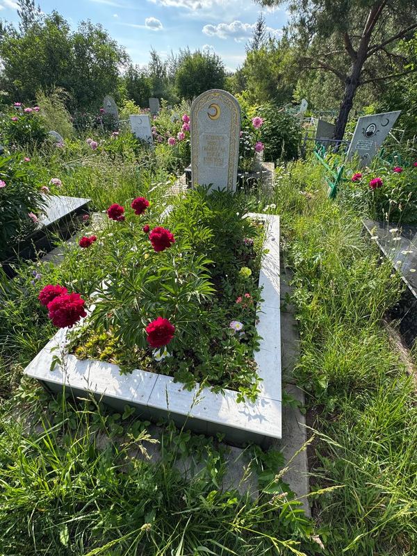 Фото надгробия: Газизова Аниса Габдельзяновна