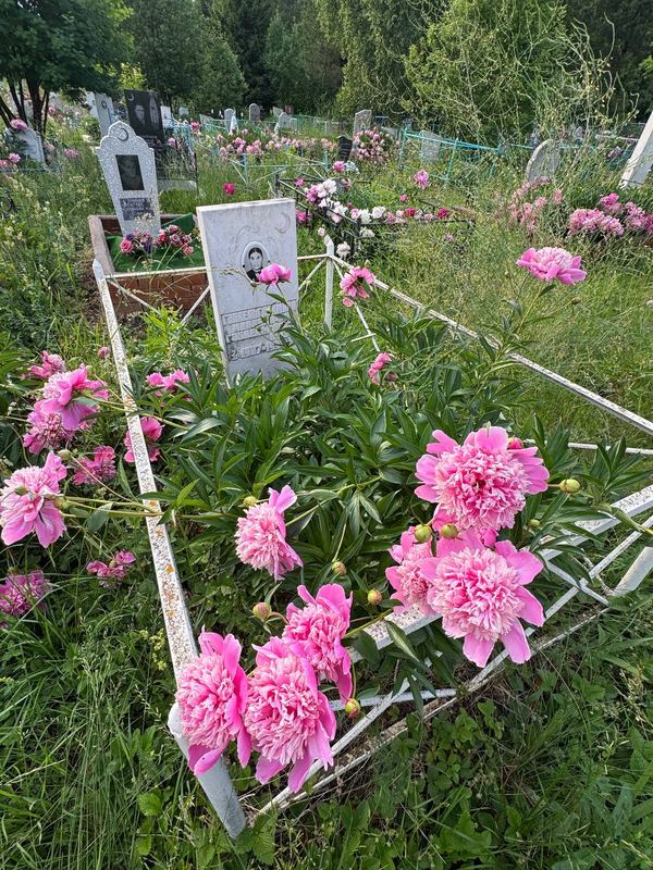 Фото надгробия: Габделгалимова Миннезифа Габделгалимовна