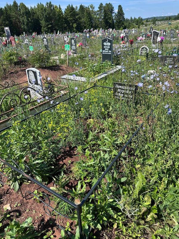 Фото надгробия: Шамарданова Нурзия Гафаровна