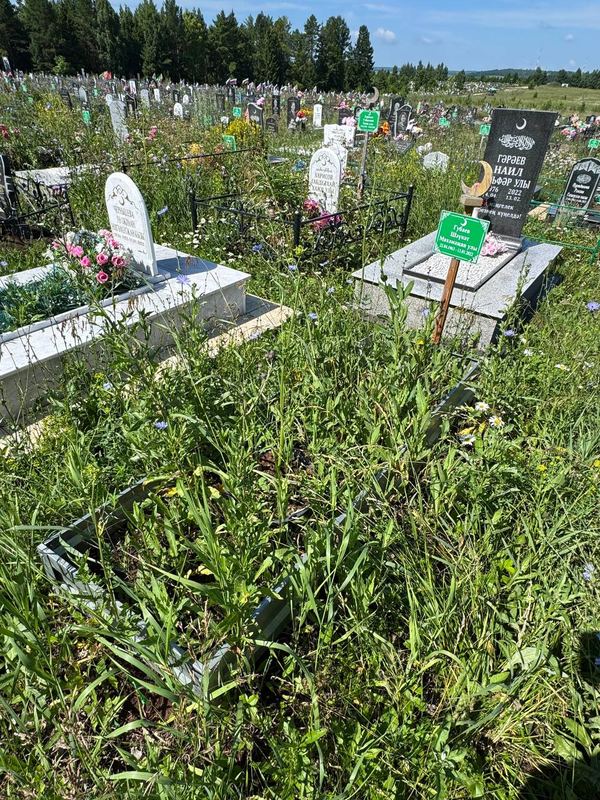 Фото надгробия: Губаев Шаукат Мухамажанович
