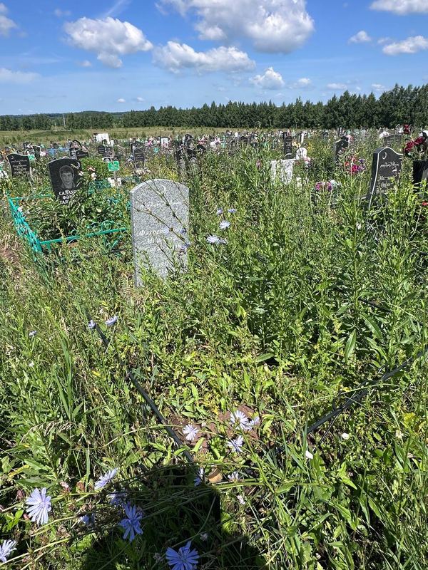 Фото надгробия: Фахретдинова Мушарафа Сабировна