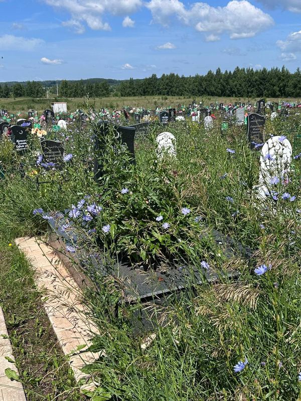 Фото надгробия: Хасанов Айрат Габдуллович