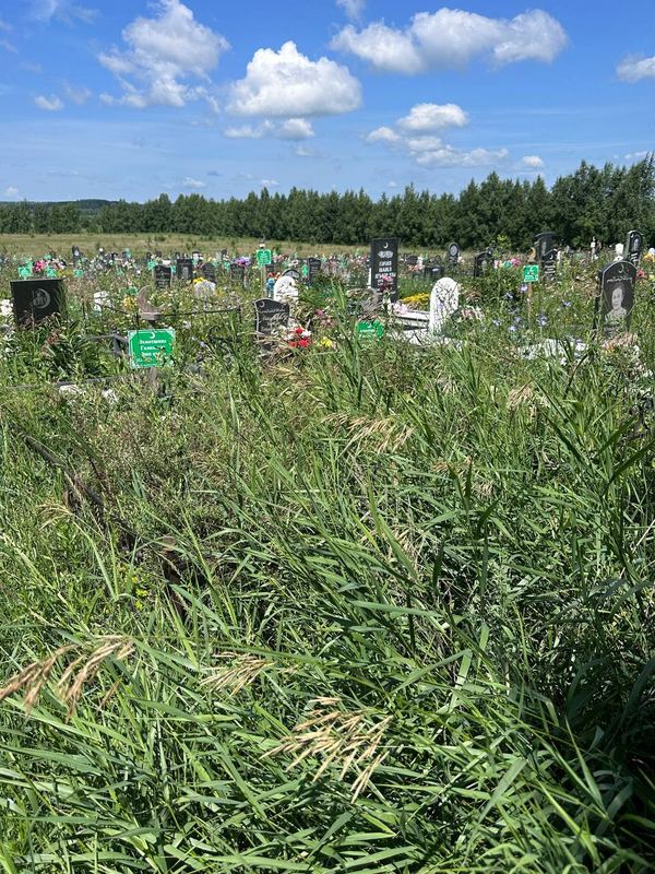 Фото надгробия: Ахметшина Гульназира Аюповна