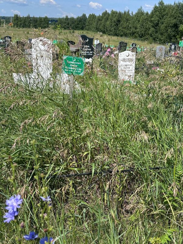 Фото надгробия: Гарифуллин Дамир Музаффарович