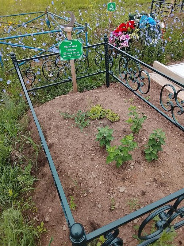 Фото надгробия: Шамсиева Тазкира Шамсиевна