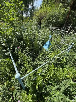 Гардиев Рустам Марсельевич