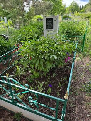 Хакимов Рашит Нуриевич