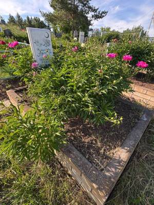 Ахметова Расима Шайхевалиевна