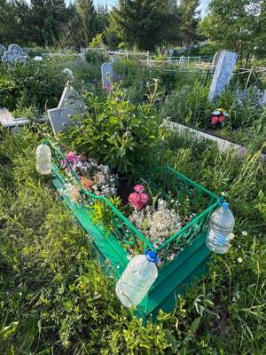 Зарипов Рамиль Мударисович