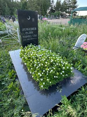Ахмадиев Радик Рафаилович