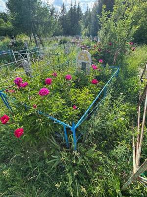 Саттаров Ленар Хамитович