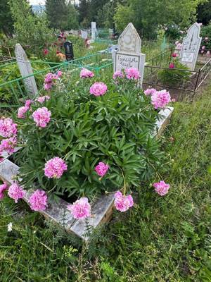 Хайретдинова Халиса Шарипзяновна