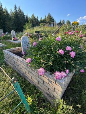 Сагдиев Мусавир Замалетдинович