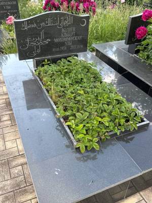 Валиев Альберт Мухамметзянович