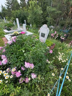 Ямалиева Насима Нугмановна