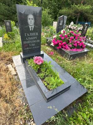 Галиев Альберт Шайхевалиевич
