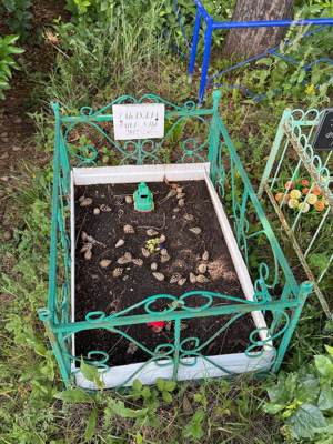 Габдулла Раильевич