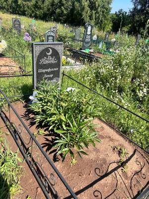 Шарифуллин Ленар Фарсович