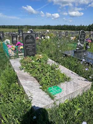 Хамидуллин Анвар Шайдуллович