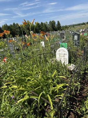 Зайнуллин Тагир Атласович