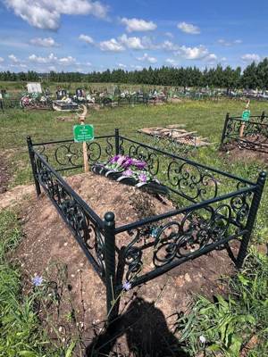 Гнутова Елена Насыповна