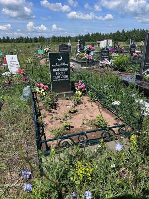 Шарипов Василь Газизович
