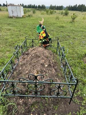 Ширеев Раис Гумарович