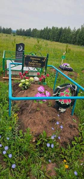 Харисова Гузель Тагировна