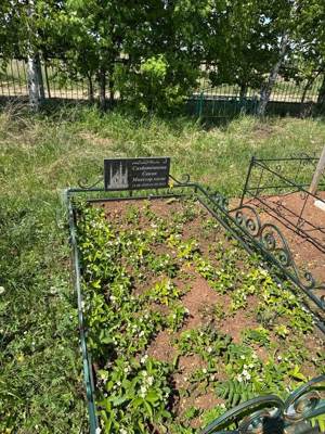 Сахбетдинова Сания Мияссаровна