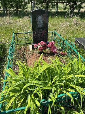 Апалеев Раис Хадиевич