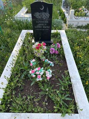 Зарипова Аниса Зариповна