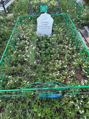 Салимова Ильмира Даулетбаевна