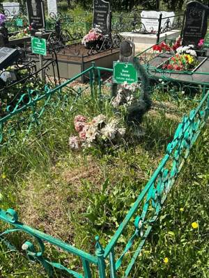 Баев Хайдар