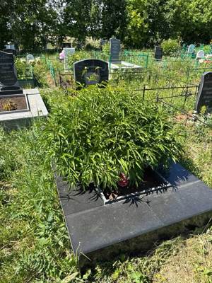 Рахматуллин Габделхак Мингалиевич