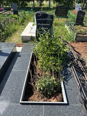 Ихсанова Сирина Миргазияновна