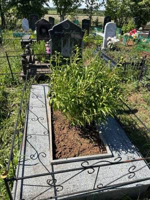 Гуссамова Минзифа Гафиятовна