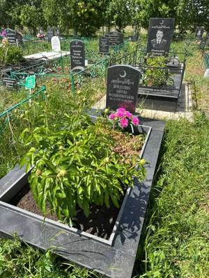 Шайдуллина Зайтуна Фазлыйахметовна