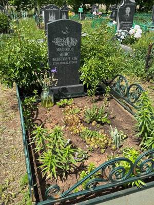 Мадияров Анис Валиахметович