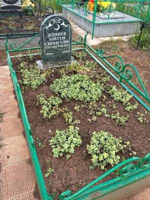 Альмиев Зайтун Сиреневич