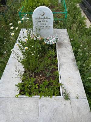 Давлеева Елена Султановна