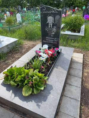 Шарапов Зиятдин Маулеутдинович