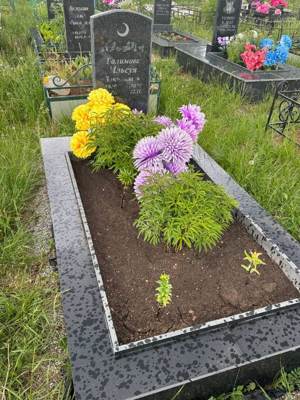 Галимова Ильсуя Закиевна