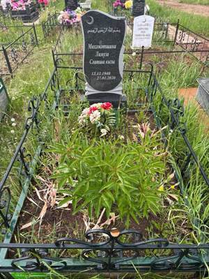 Мухаметшина Лимуза Саитшевна