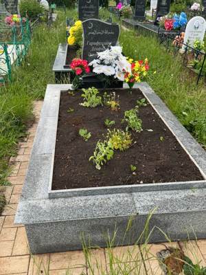 Гарифуллина Денфира Асхатовна