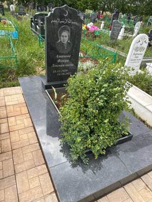 Аминова Флюра Локмановна