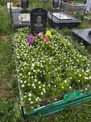 Гарипов Мансур Мударисович