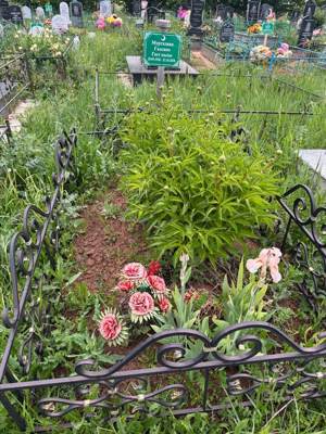 Муртазина Гульсина Гаетовна