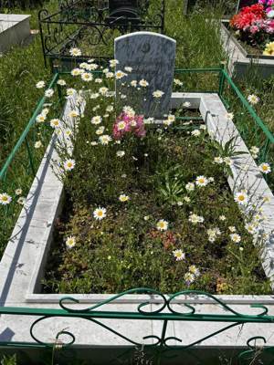 Лутфуллин Мирза Лутфрахманович