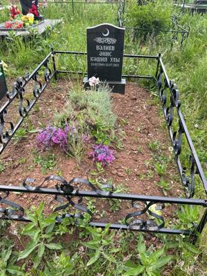 Валиев Анис Кашипович